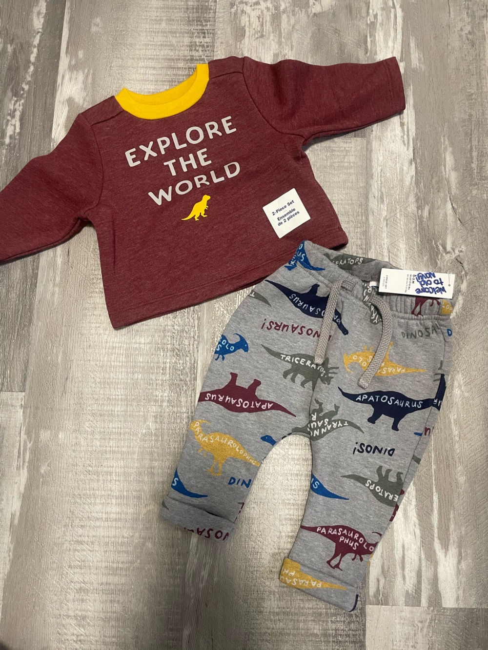 Old Navy Infant Dinosaurs Crew and Jogger Set